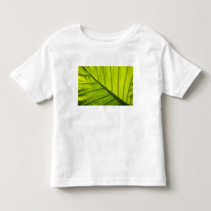 T-shirts Folhas verdes com veias de folhagem tropical em 2