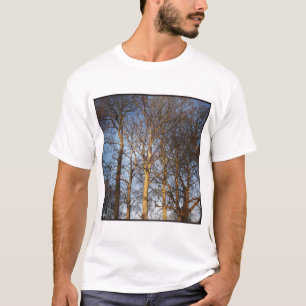 T-shirts Foto Quadrada - Árvores Invernas Sunlit
