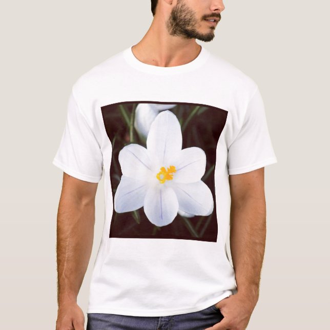 T-shirts Foto Quadrada - Crócus Branco (Frente)