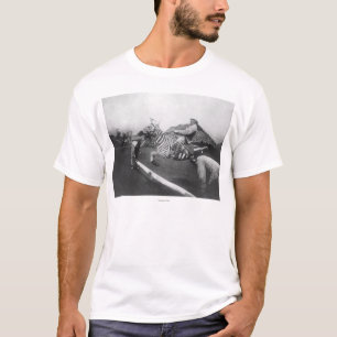 T-shirts Fotografia de salto da cerca da zebra da equitaç