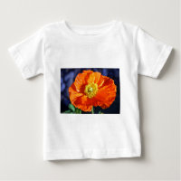 Fotografia do Pappy Islandês Laranja