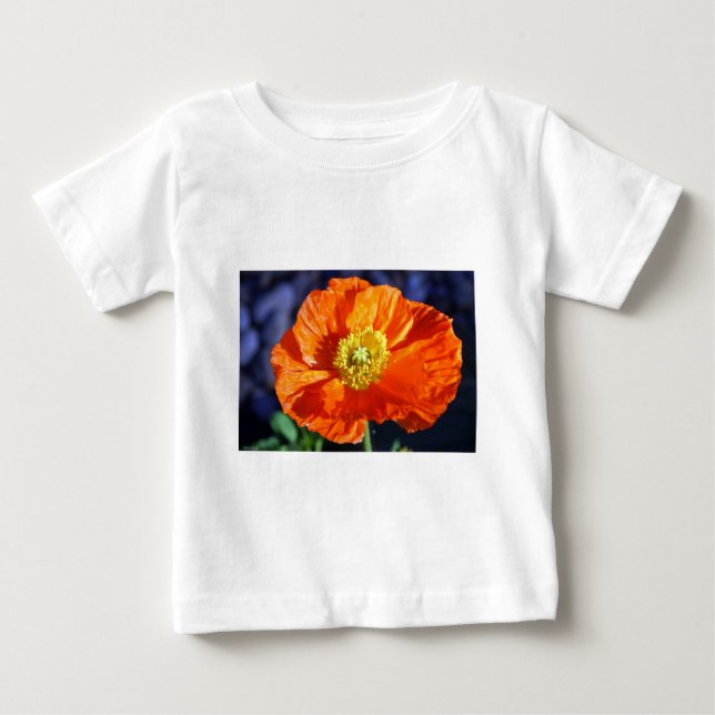T-shirts Fotografia do Pappy Islandês Laranja (Frente)