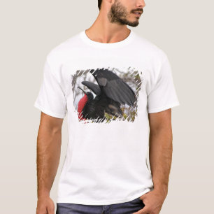 T-shirts Fragata Magnífica
