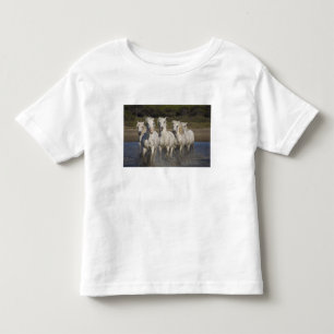 T-shirts França, Camargue. Cavalos correm