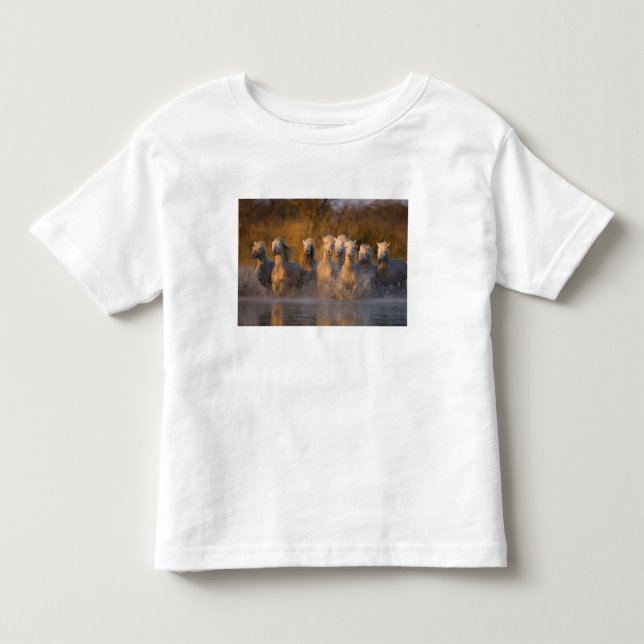 T-shirts França, Provença. Cavalos brancos Camargue (Frente)