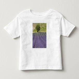 T-shirts França, Provença. Fileiras de lavanda em flor.