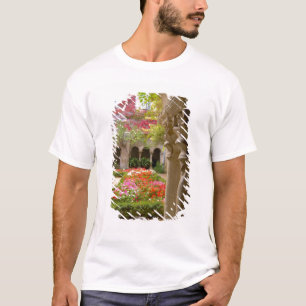 T-shirts França, St. Remy de Provence, claustros em