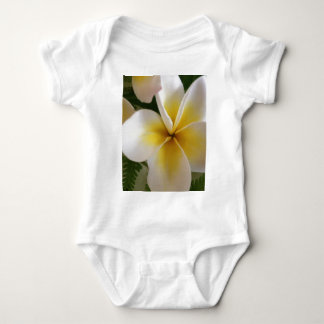 T-shirts Frangipani