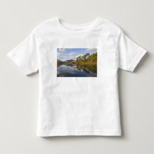 T-shirts Friars Crag, Derwentwater, Distrito dos Lagos,
