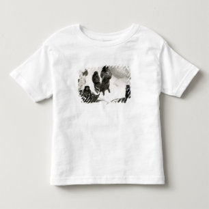 T-shirts Fuegians que vai trocar em Zapallos