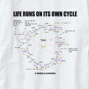 T-shirts Funcionamentos da vida em seu próprio ciclo (cicl