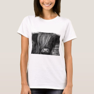 T-shirts Gado escocês das montanhas - Scotland