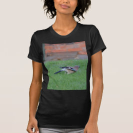 T-shirts Gaio-comum