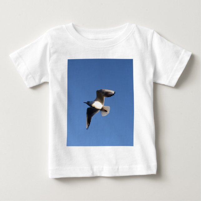 T-shirts Gaivota-pequena (Frente)