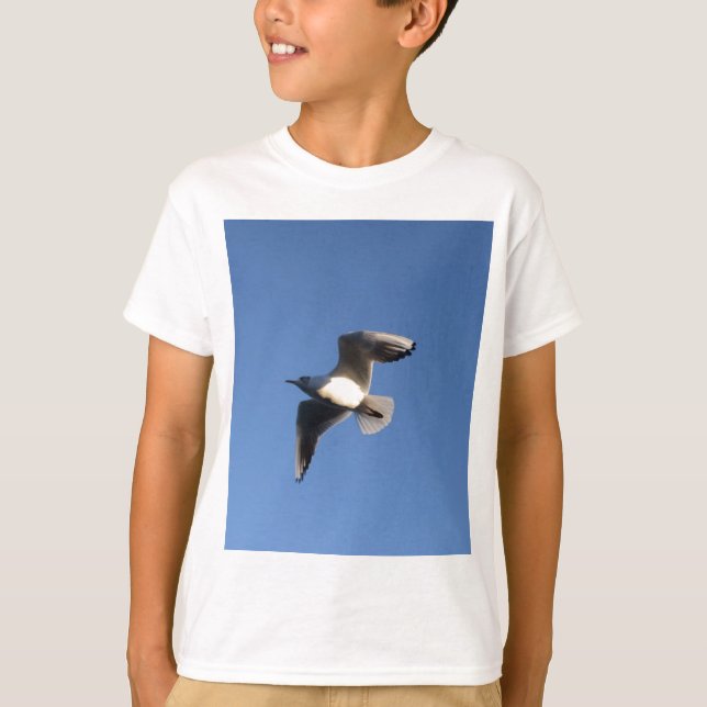 T-shirts Gaivota-pequena (Frente)