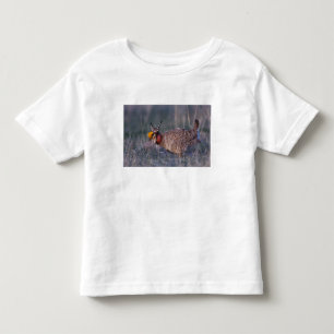 T-shirts Galinha-da-pradaria-pequena, Tympanuchus