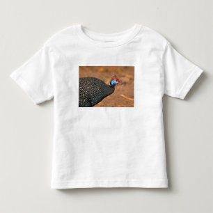 T-shirts Galinha-d'angola (Numida meleagris). África,
