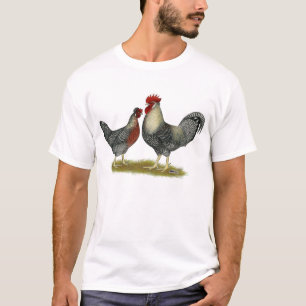 T-shirts Galinhas de creme de Legbar