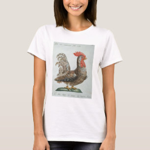 T-shirts Galo novo do anão, c.1767-76 (gravura colorida m