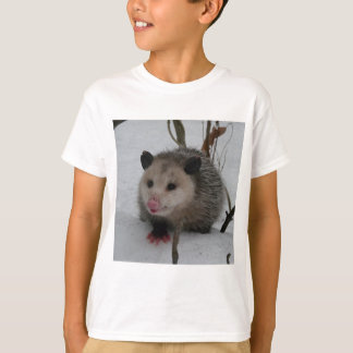 T-shirts Gambá da neve