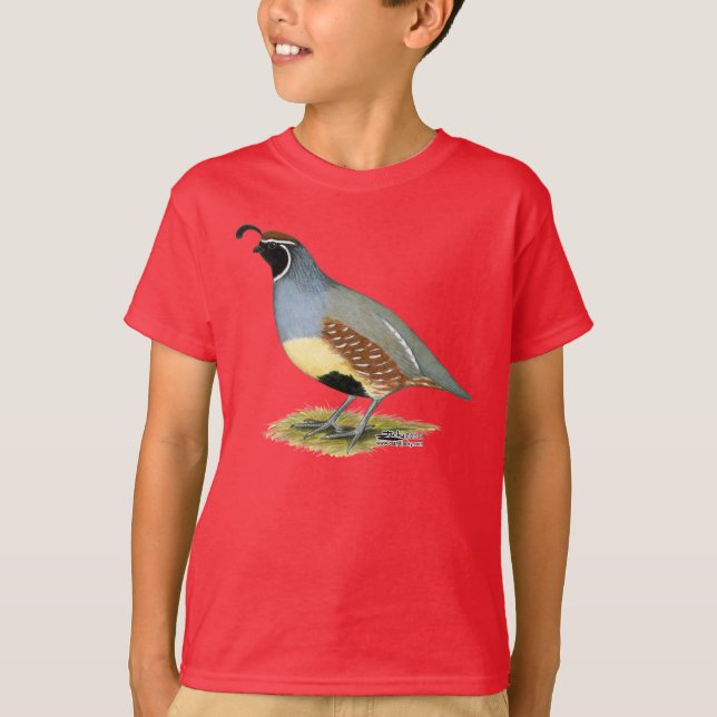 T-shirts Gambel's Desert Quail (Frente)