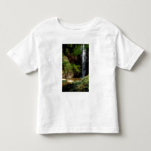 T-shirts Gana: Cachoeira Wli, também conhecida como Cachoei