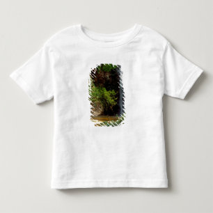 T-shirts Gana: Cachoeira Wli, também conhecida como Cachoei