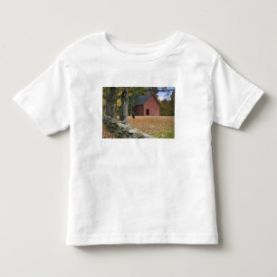 T-shirts Gângue de pneu ao longo de uma estrada no sul de V