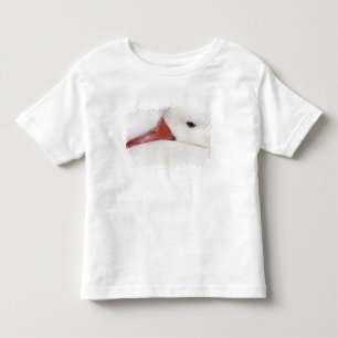 T-shirts Ganso-de-neve Chen caerulescens