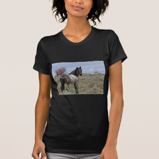 T-shirts Garanhão do leste de Douglas/Piceance HMA