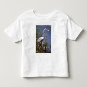 T-shirts Garça-real-azul ave aquática