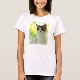 T-shirts Gatinho de Ragdoll da chita