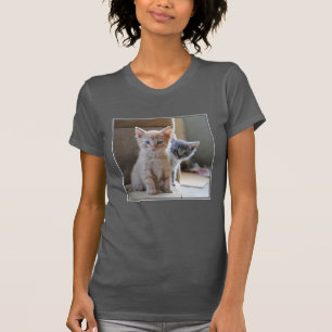 T-shirts Gatinhos curiosos