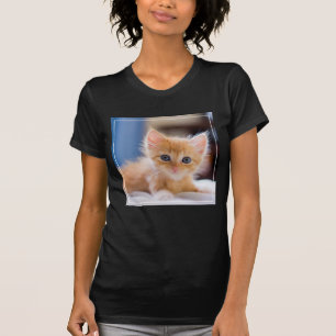 T-shirts Gato bonito com olhos azuis