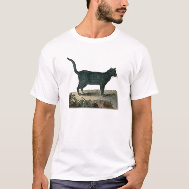 T-shirts Gato de Chartreux (Frente)
