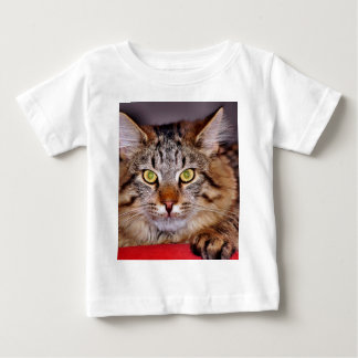 T-shirts Gato de Maine-Coone