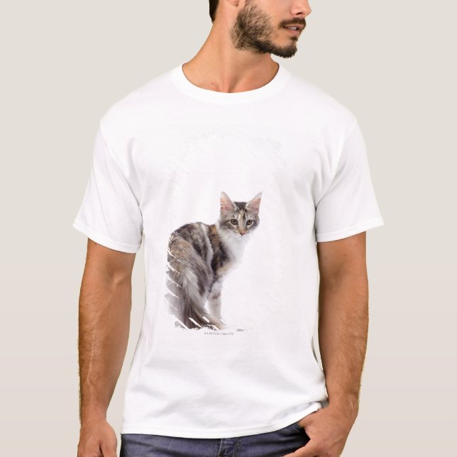 T-shirts Gato de racum de Maine (Frente)