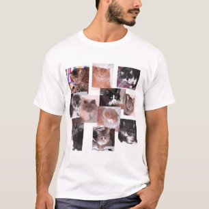 T-shirts Gatos