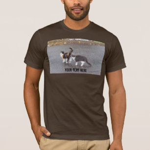 T-shirts Gatos insolentes na estrada