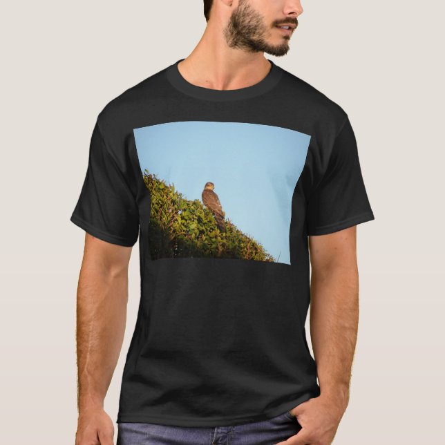 T-shirts Gavião-americano (Frente)