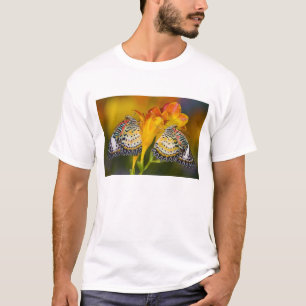 T-shirts Gêmeas Borboleta Tropicais
