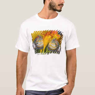 T-shirts Gêmeos de Borboleta Tropical