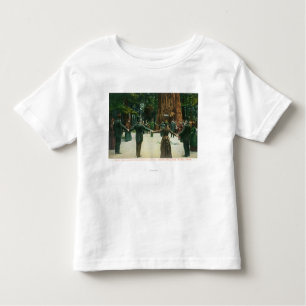 T-shirts General Fremont que mostra a circunferência da