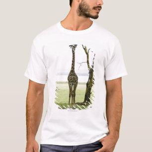 T-shirts Girafa em Kenya, África