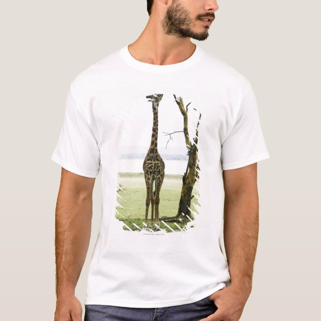 T-shirts Girafa em Kenya, África (Frente)