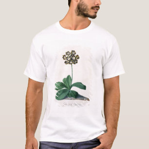 T-shirts Glória de Chilton (gouache no velino)