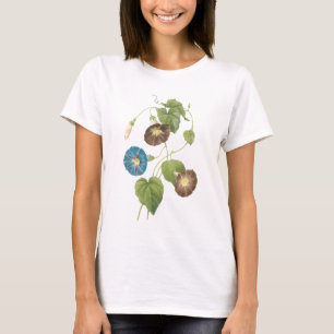 T-shirts glória matinal (Spomaea quamoclit) por Redouté