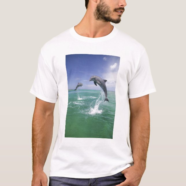 T-shirts Golfinho-nariz-de-garrafa Tursiops truncatus (Frente)
