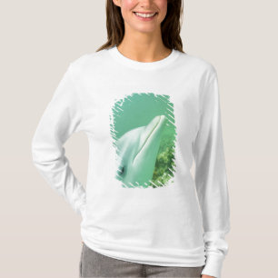 T-shirts Golfinho-nariz-de-garrafa Tursiops truncatus