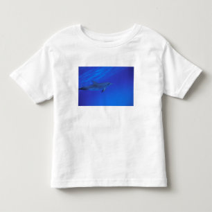 T-shirts golfinho pintado do Caribe, Bahamas